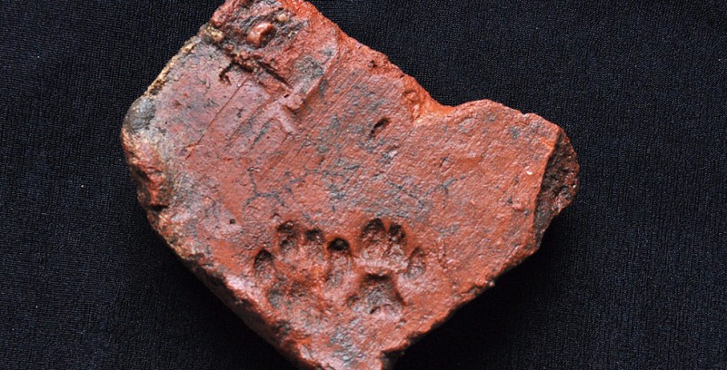 Fragment of Roman tile with animal print