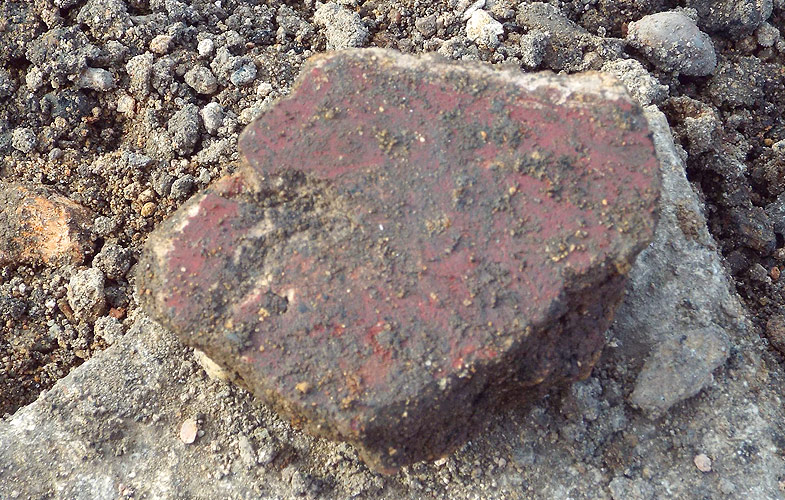 Freshly excavated fragment of painted wall plaster