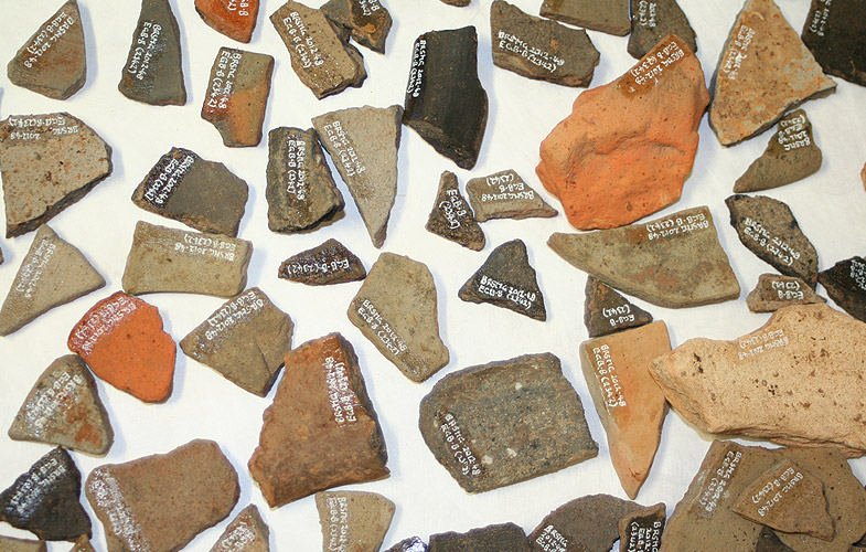 Marked pottery sherds from Emerson's Green, Bristol (Kevin Mounsey, photographer)