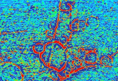 1. Bronze Age enclosures shown by the geophysical survey